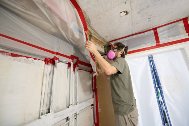 Best Environmental Consulting for Mold Prevention  in Hartley, IA