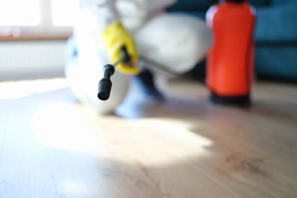 Best Real Estate Mold Inspection  in Hartley, IA