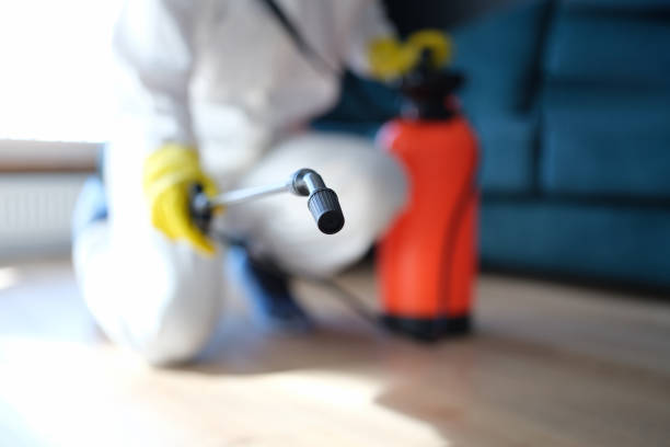 Best Indoor Air Quality Assessment  in Hartley, IA