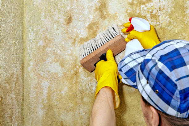Best HVAC Mold Inspection and Cleaning  in Hartley, IA