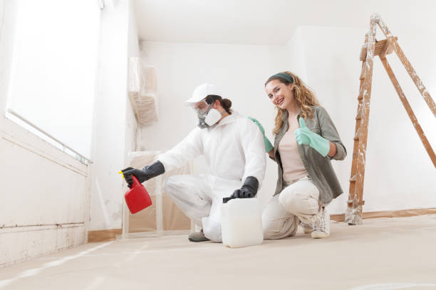 Best Water Damage & Mold Remediation  in Hartley, IA