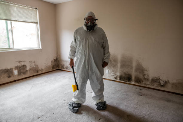 Best Air Quality Testing for Mold Spores  in Hartley, IA