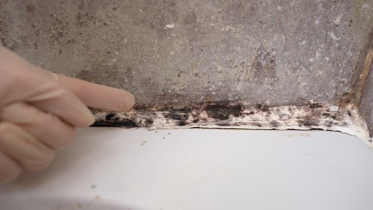 Best Dehumidification Services  in Hartley, IA