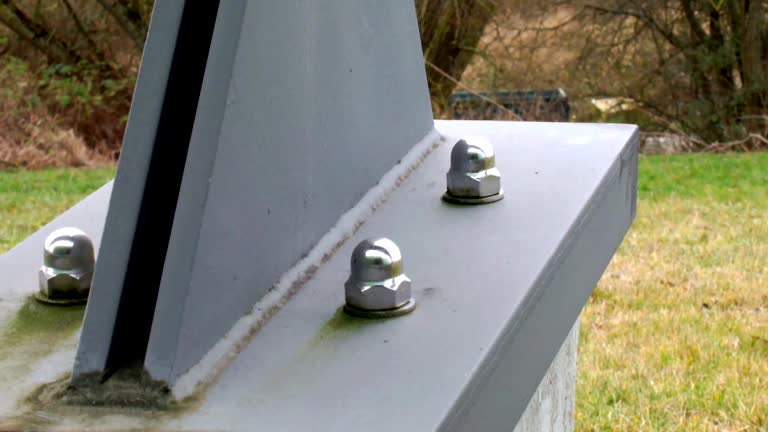 Forensic Mold Investigation in Hartley, IA