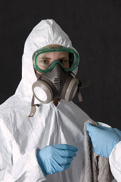  Hartley, IA Mold Removal Pros